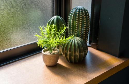 Haku Loft Hakata 205