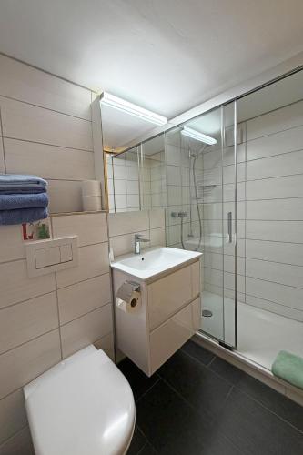 a bathroom with a toilet and a sink and a shower at Studio bim Chalet bim Chilchli in Mürren