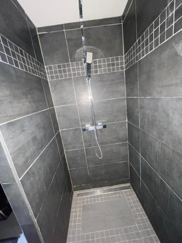 a bathroom with a shower with gray tiles at Apartment 65 m2 NE Rez de Jardin 2 chambres in Varetz