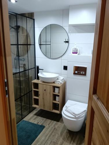 a bathroom with a toilet and a sink and a mirror at Agroturystyka Janowa Chata in Krajanow