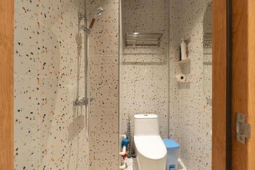 a bathroom with a shower with a toilet in it at Homestay Beauty D1 in Ho Chi Minh City