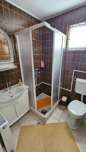 a bathroom with a shower with a toilet and a sink at Apartman Marija in Zlatibor
