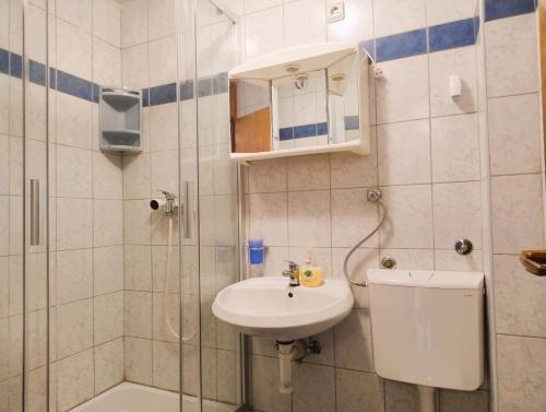 a bathroom with a toilet and a sink and a shower at Gama 2 in Vir