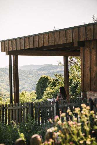 a woman sitting on a fence looking at the mountains at Fairytale cottage Francka in Gorica pri Slivnici