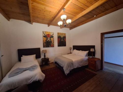 a bedroom with two beds and a projection screen at Mahem Guest House in Memel