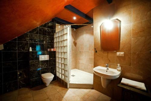 a bathroom with a sink and a shower and a toilet at Nostalgia in Sokolniki