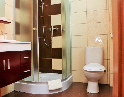 a bathroom with a toilet and a glass shower at Villa Magna in Gdynia