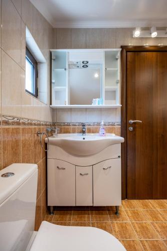 a bathroom with a sink and a mirror and a toilet at Boka Garden in Bijela