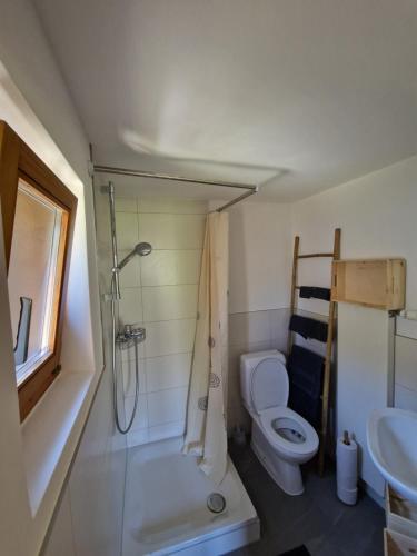 a bathroom with a shower and a toilet and a sink at Waldnest in Grächen