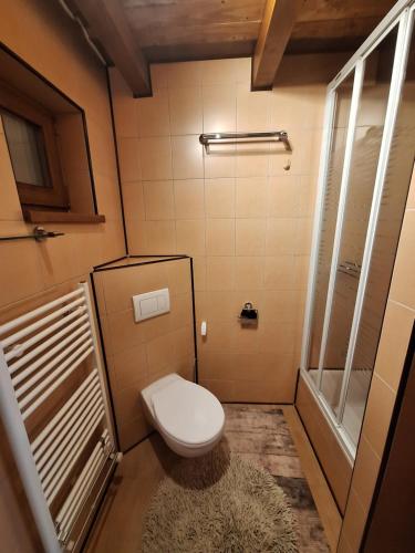 a small bathroom with a toilet and a shower at Apartmán Bianka in Rabča