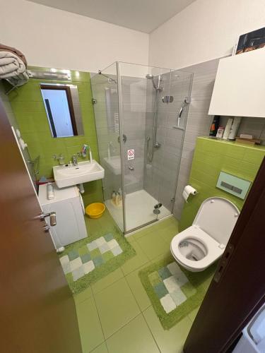 a green bathroom with a toilet and a shower at apartman pri X Bionic Sphere Samorin 6 km od Casino Card Hotel in Blatná na Ostrove