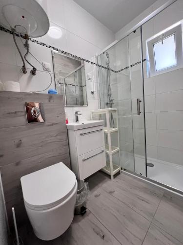 a bathroom with a toilet and a sink and a shower at Promenada in Koronowo