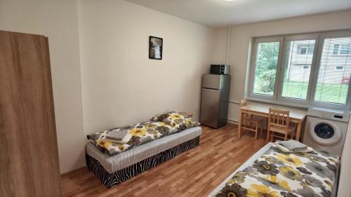 a living room with a bed and a table and a kitchen at Apartmán pro 2 osoby, Bukovany B3 in Sokolov
