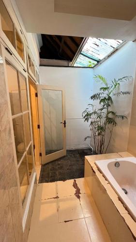 a bathroom being remodeled with a sink and a plant at Casavina residen kubu manyar 201 in Canggu