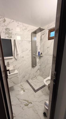 a bathroom with a shower and a toilet and a sink at Modinakhe in Kobuleti