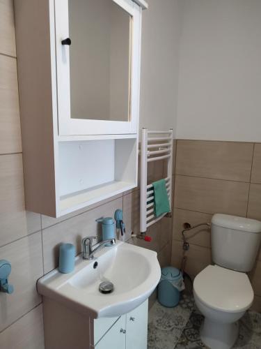 a bathroom with a white sink and a toilet at Hortenzie in Česká Skalice