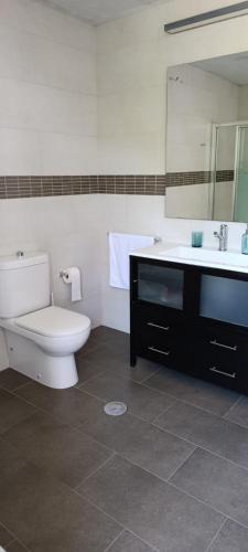 a bathroom with a toilet and a sink and a mirror at Casa O segredo, Costa da Morte con piscina in Coristanco