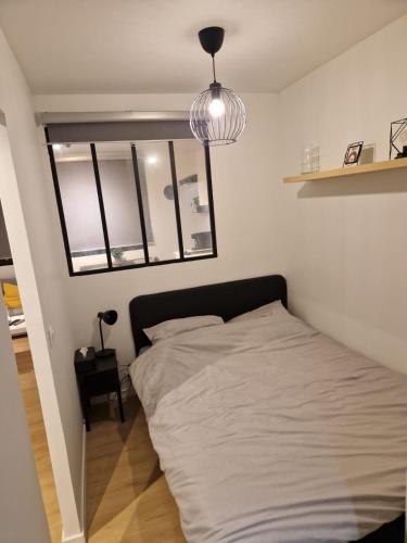 appartement toulouse