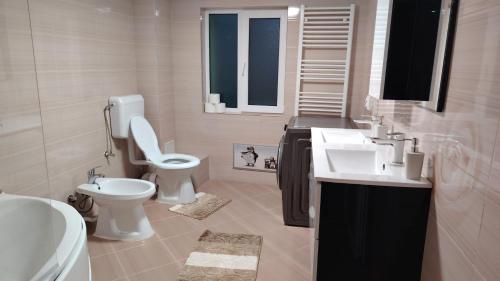a bathroom with a toilet and a sink at Eden House Șelari in Şelari