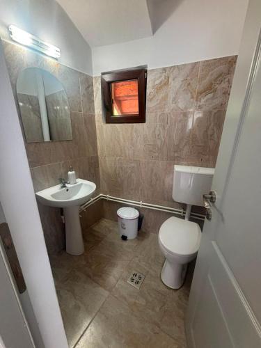 a bathroom with a white toilet and a sink at Pensiunea Mery in Albac