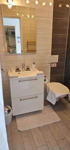 a bathroom with a sink and a mirror and a toilet at Chambre Zen Et Calme in Bouveret