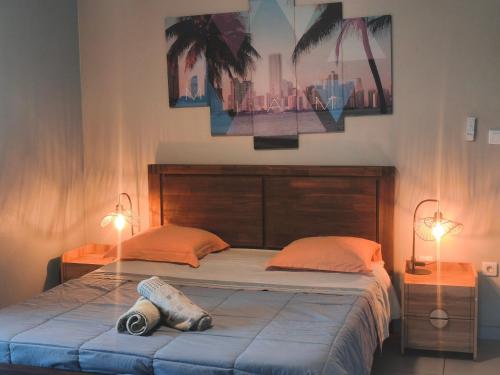 a bedroom with a bed with two lamps on it at Gite, Route Des Laves in Saint-Philippe