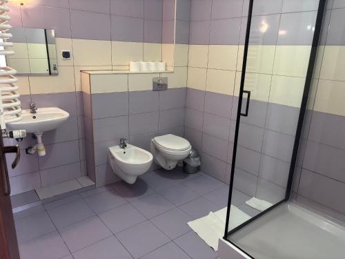 a bathroom with a toilet and a sink at Zajazd Bachus in Czarnocin