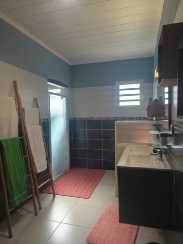 a bathroom with a sink and a blue wall at Gite, Route Des Laves in Saint-Philippe