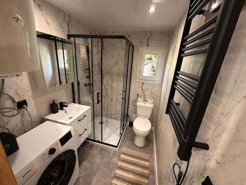 a bathroom with a shower and a toilet and a sink at Ubytovanie Lišov 3 - Tiny House in Lišov