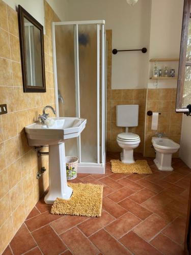 a bathroom with a sink and a shower and a toilet at B&B la boffalora in Zaffignano