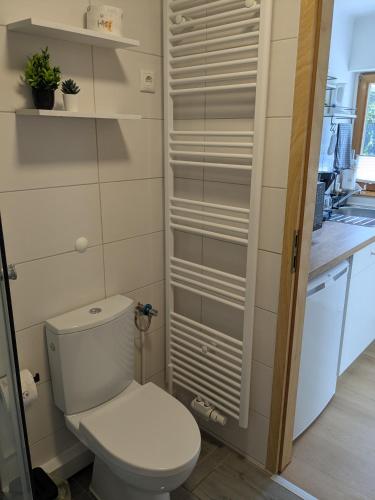a bathroom with a toilet in a kitchen at Ferienwohnung in Ranzig - klein aber fein in Tauche