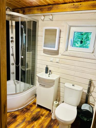 a bathroom with a toilet and a shower and a sink at Domek wypoczynkowy SŁOŃCE - k Karpacza in Podgórzyn