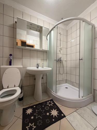 a bathroom with a shower and a toilet and a sink at Hiša Mila in Bovec