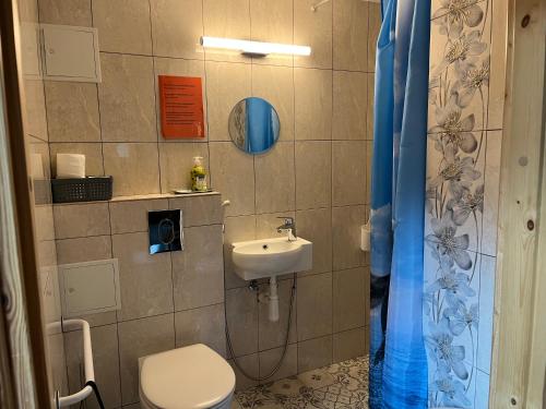 a bathroom with a toilet and a sink at Voosemetsa Turismitalu in Voose