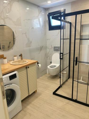 a bathroom with a washing machine and a toilet at Villa Keyf Göcek in Fethiye