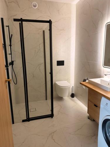 a bathroom with a shower and a toilet and a sink at W sercu Rynku in Pasym