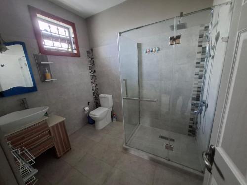 a bathroom with a shower and a toilet and a sink at Vanz Villa in Mont Choisy