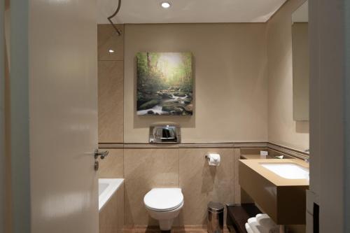 a bathroom with a toilet and a painting on the wall at Drakensberg Sun Resort in Winterton