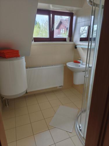 a bathroom with a shower and a sink at Na pasekách u lesa apartmán Radost in Osvětimany