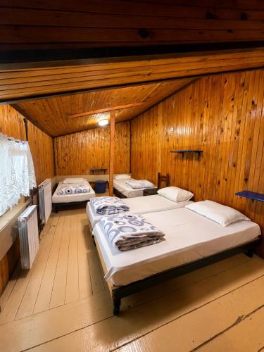 two beds in a room with wooden walls at Great Mountain B&B Platak in Platak