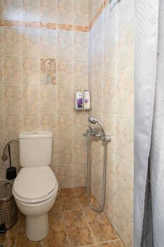un bagno con WC e doccia di SkyView Loft a Kalamáta