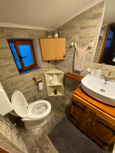a bathroom with a toilet and a sink at Jasmine Apartment in Herceg-Novi