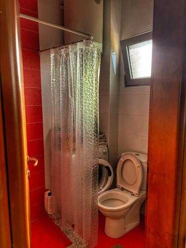 a bathroom with a toilet and a shower curtain at L&K Old Town Apartment in Podgorica