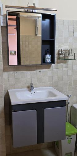 a bathroom with a white sink and a mirror at Mekong Delta Ricefield Lodge in Can Tho