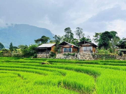 a group of houses in a green rice field at Peaceful Happiness Bungalow with Valley Views in Sapa