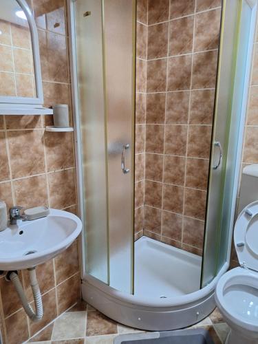 a bathroom with a shower and a sink and a toilet at Apartmani Medojević in Radanovići