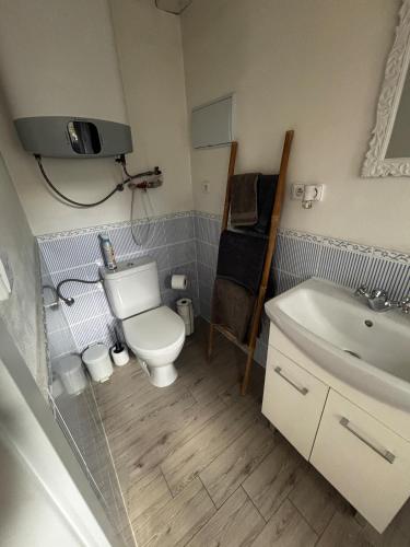 a bathroom with a toilet and a sink at Domek se zahrádkou in Zbečno
