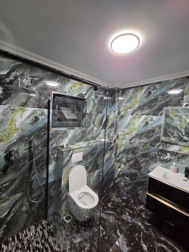 a bathroom with a toilet and a sink at The Robian Chalet in Suceviţa