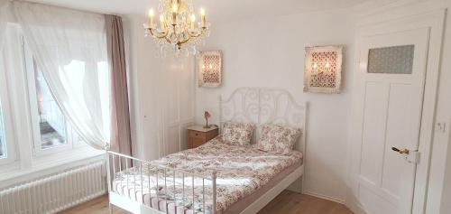 Stilvolle Apartments im Gertrud Schlössli - zentral ruhig