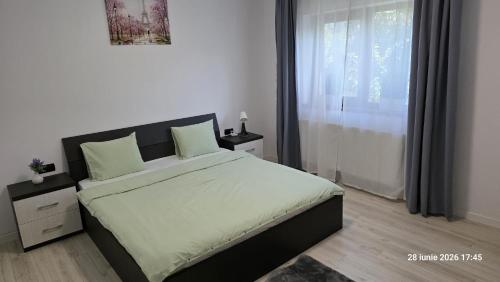 a bedroom with a large bed and a window at Casa Magurele in Măgurele